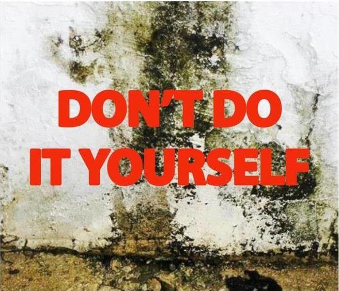 Mold wall background with "Don't do it yourself" quote in front of it. 